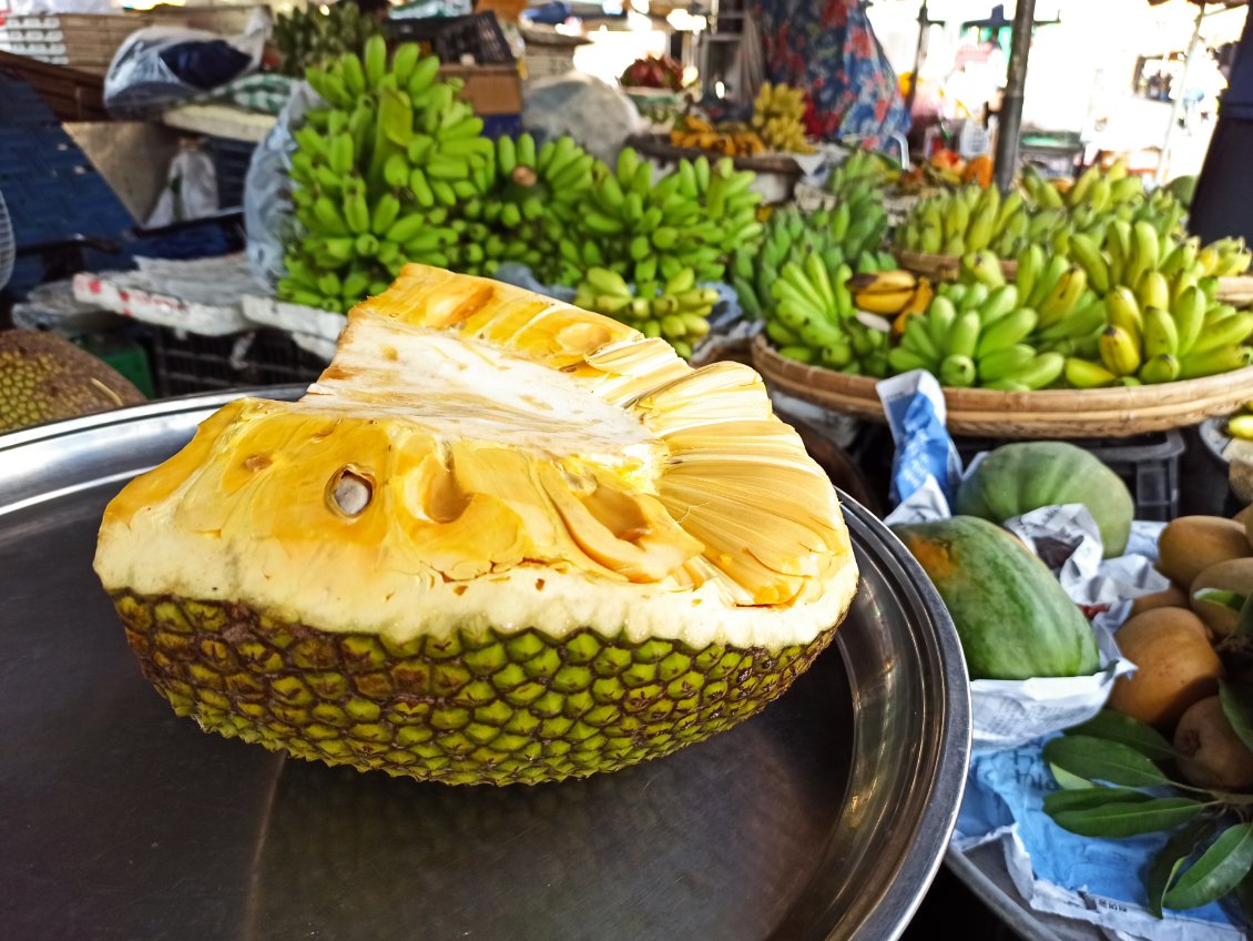 J10. Un fruit du jacquier ouvert (possible d'en acheter un petit morceau). Les graines peuvent être mangées après les avoir bouillies. Le jaune, le fruit, peut être mangé sans préparation.