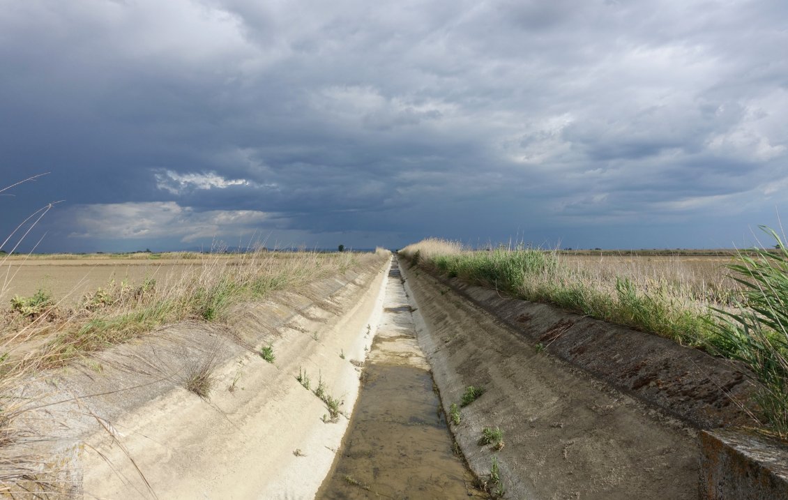 Les rizières du delta Aksiou, avec leur système d'irrigation.