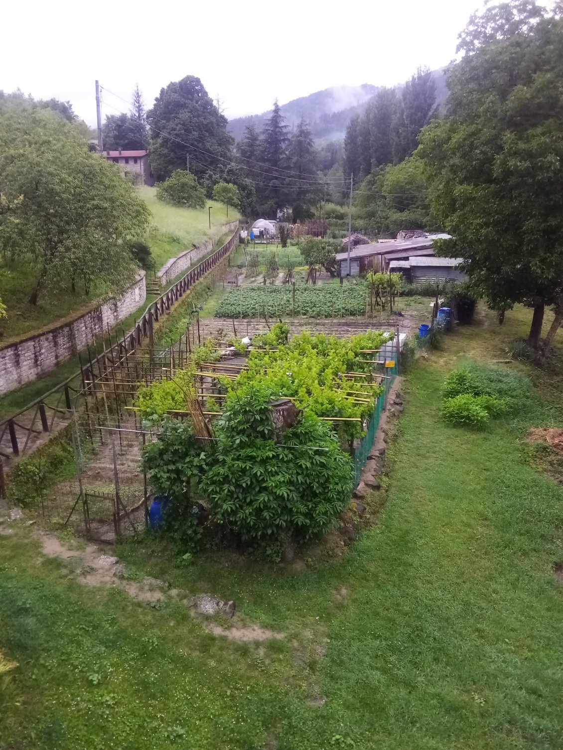 Les jolis potagers.