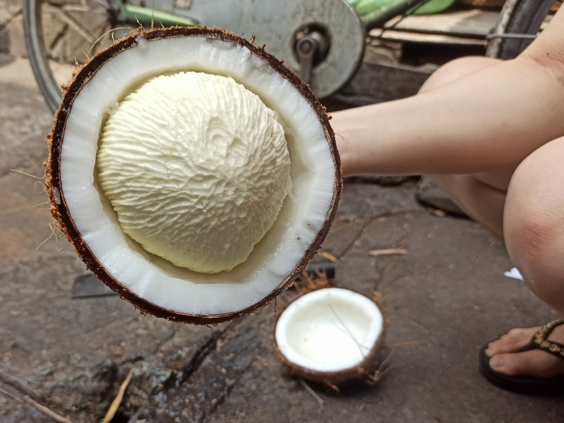 J12. Voici une noix de coco remplie de chair à manger, fraîchement ouverte par gentillesse par la commerçante, spécialement pour la photo.