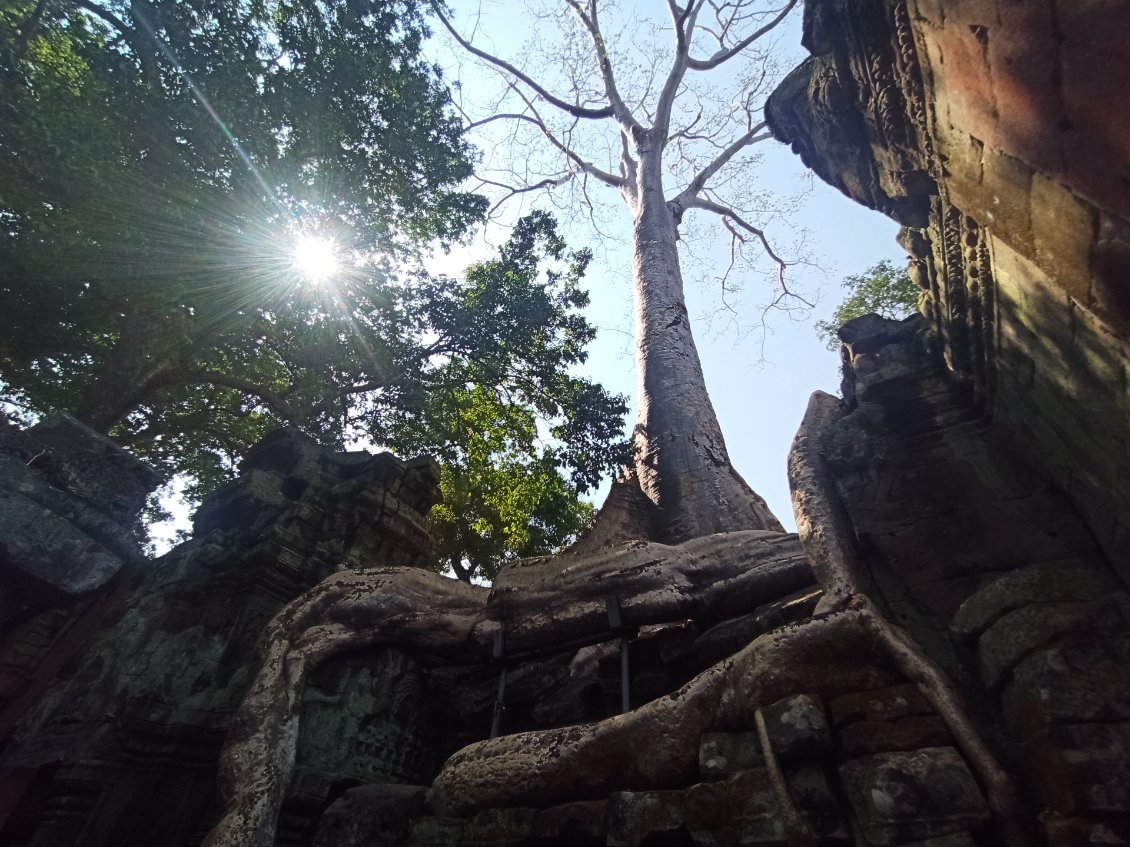 La nature était en bonne voie d'effacer les traces d'une Humanité qui l'a conquise pour bâtir une cité hors du commun, mais éphémère à l'échelle de la planète.