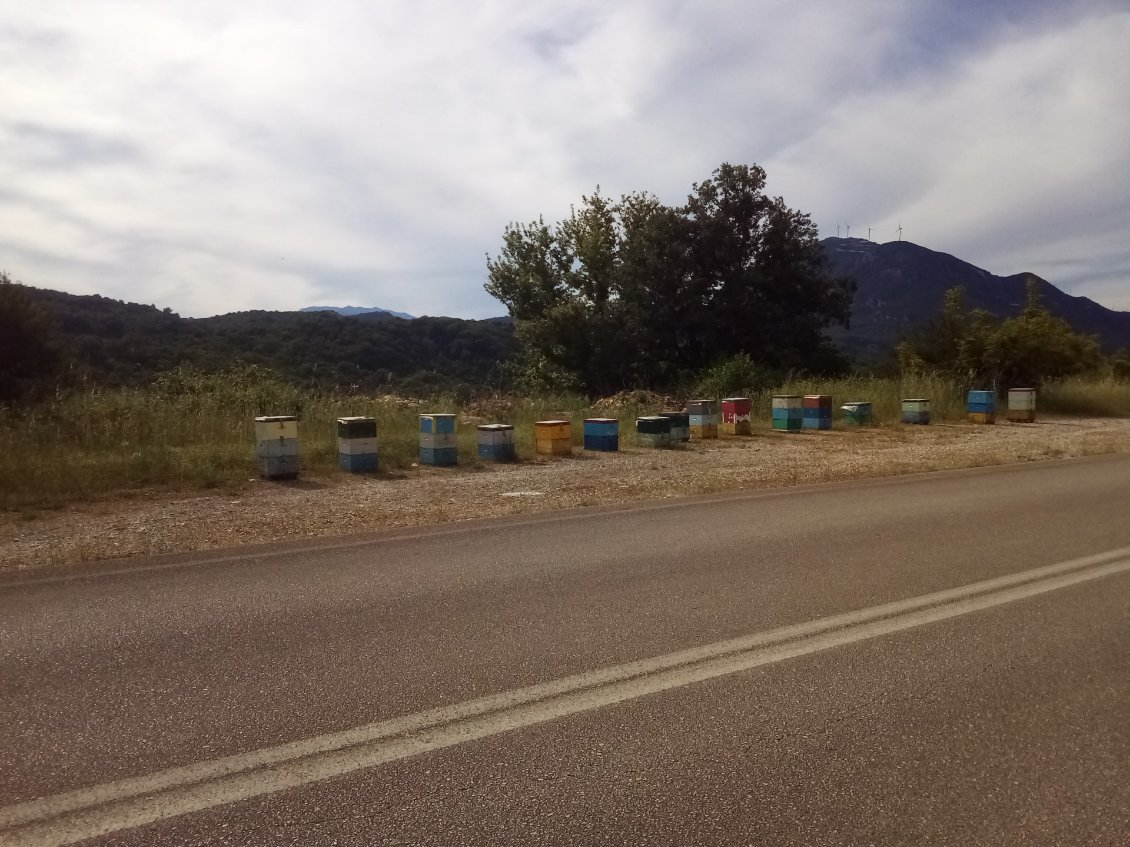 Rucher routier. Les abeilles s'envolent heureusement de l'autre côté !