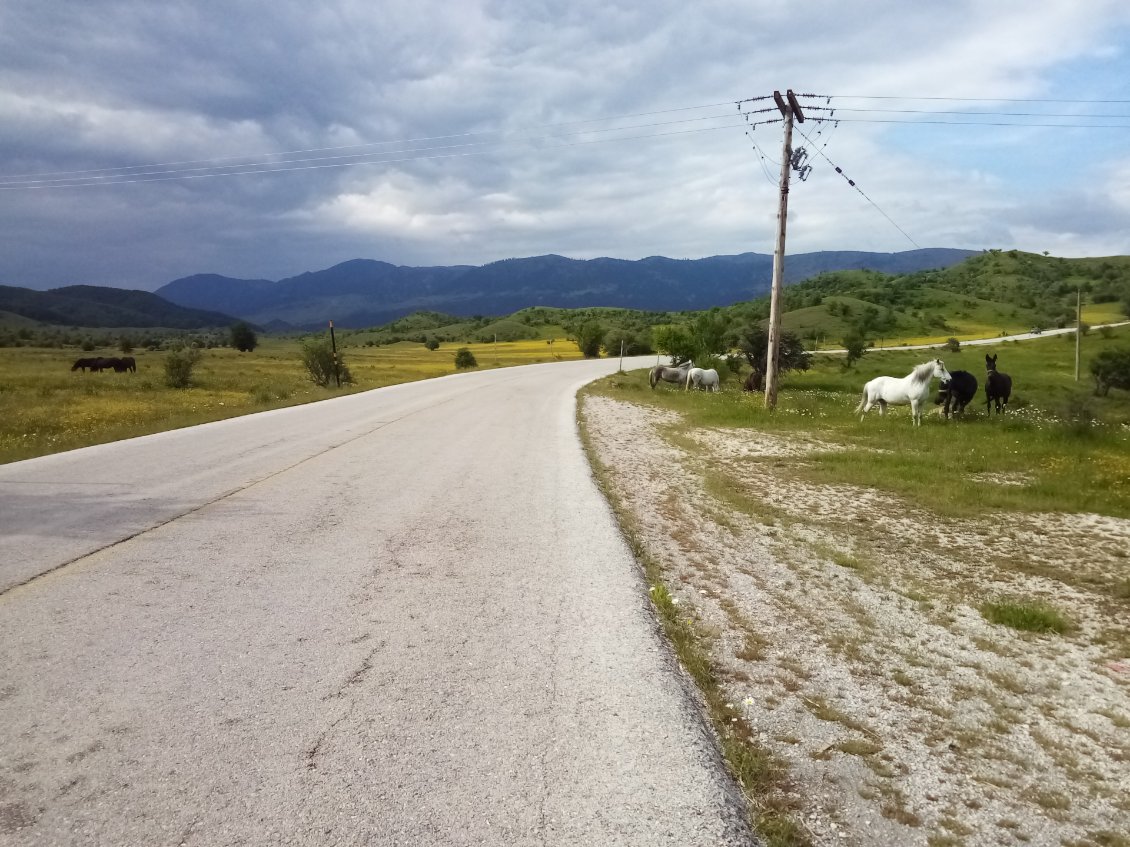 J'ai l'impression d'avoir passé une frontière, le paysage est vraiment différent.