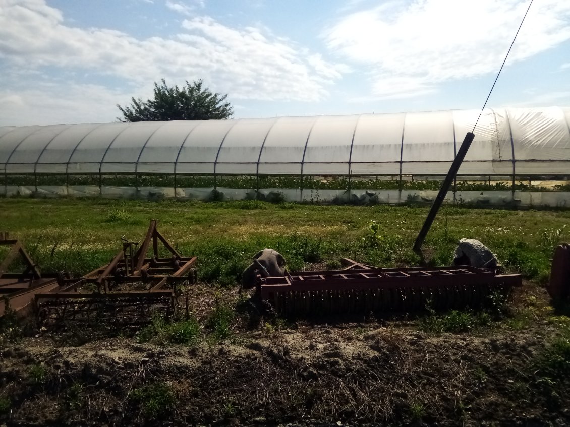 Le secteur est très maraîcher. Sous serre et en plein champ.