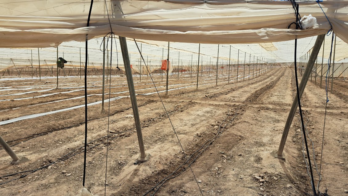 ...de cette belle terre...avec des milliers de travailleurs sans papiers, de camions et des camionneurs exploités. Avec des pesticides interdits.