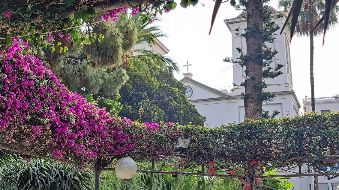 Plaza d'España, un beau jardin botanique 