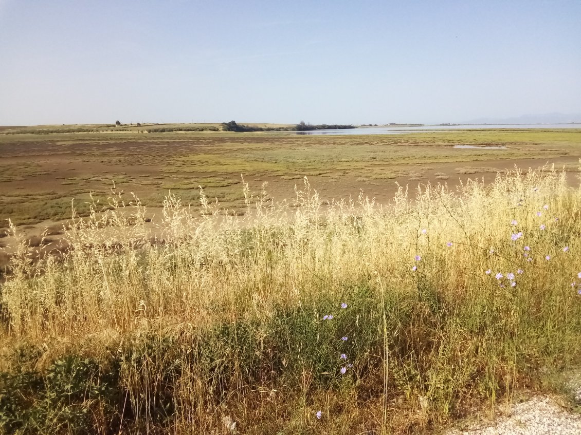 En continuant je roule sur un isthme.
Pré salé d'un côté.