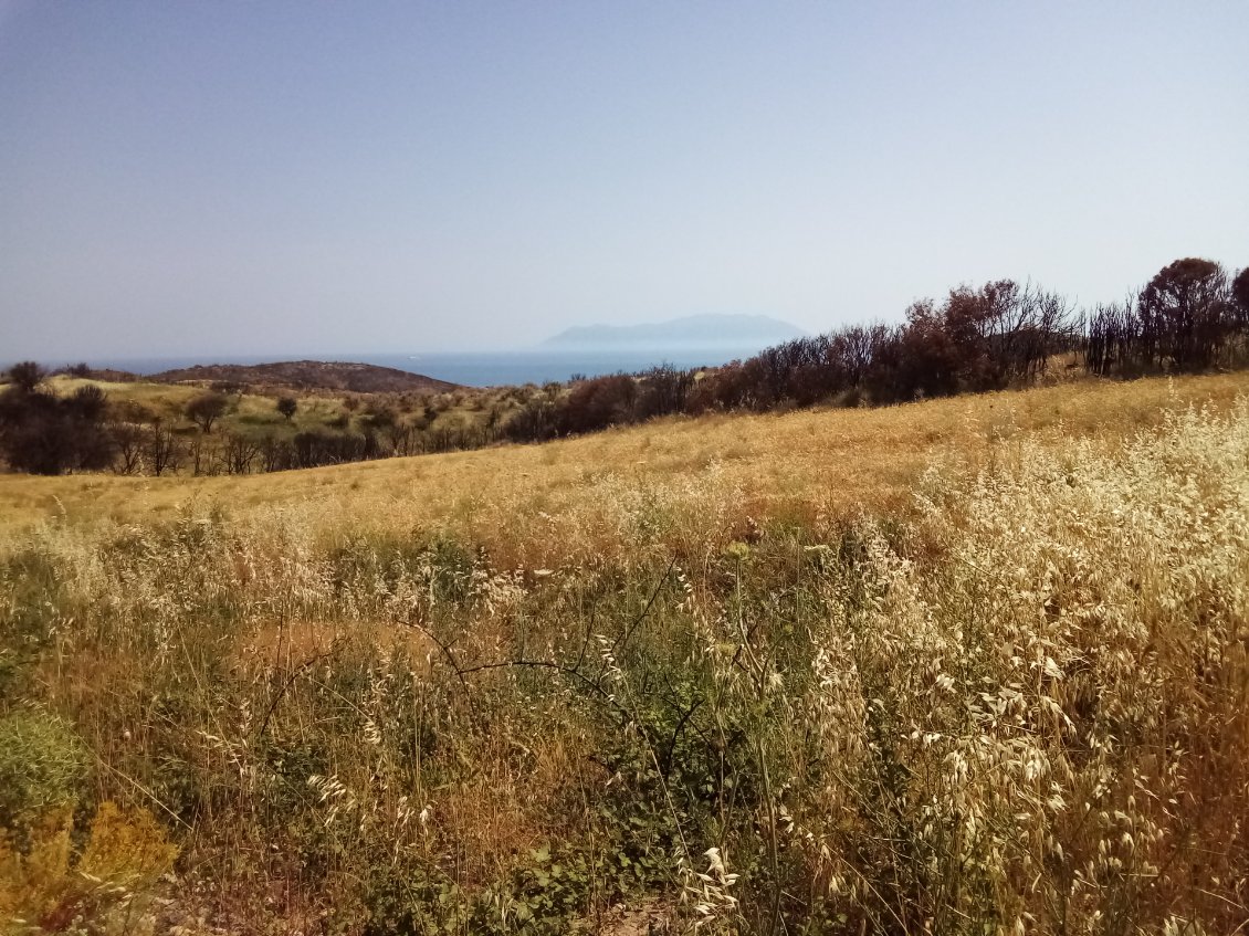 Encore une île au fond. La même ?