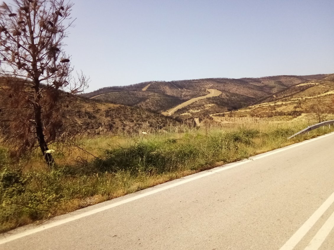 Je traverse un paysage dévasté par de récents incendies.