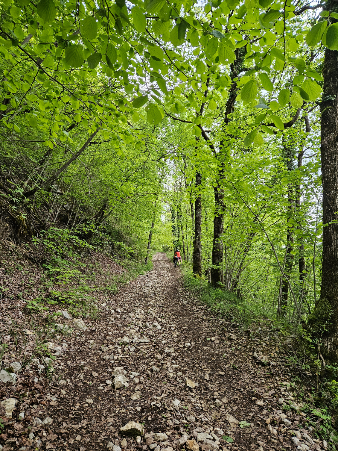 Premier écart openrunner, sentier pédestre, ça pousse mais c'est beau !