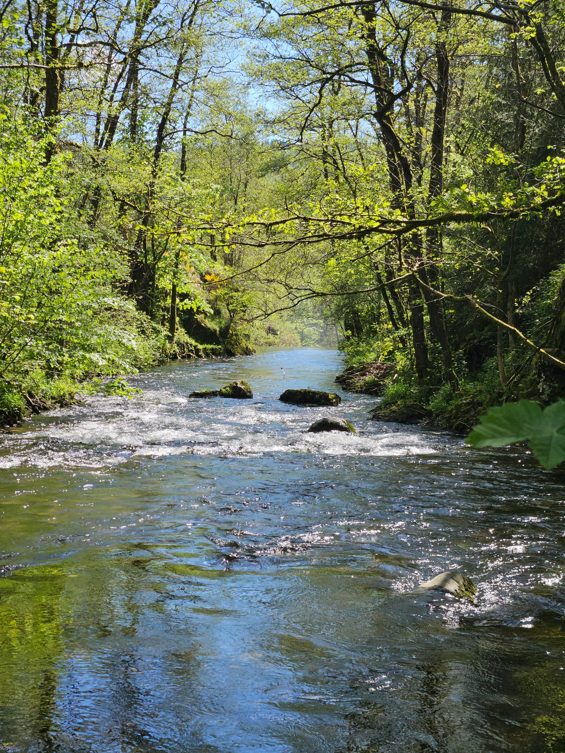 Saut de l'Ognon à Servance.