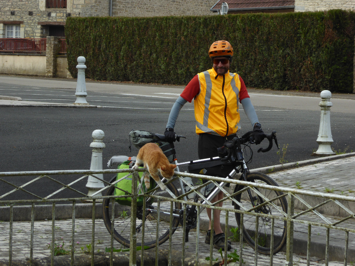 Et son chat roux, véritable boule d'énergie aimant la compagnie ou un public pour toutes ses facéties.