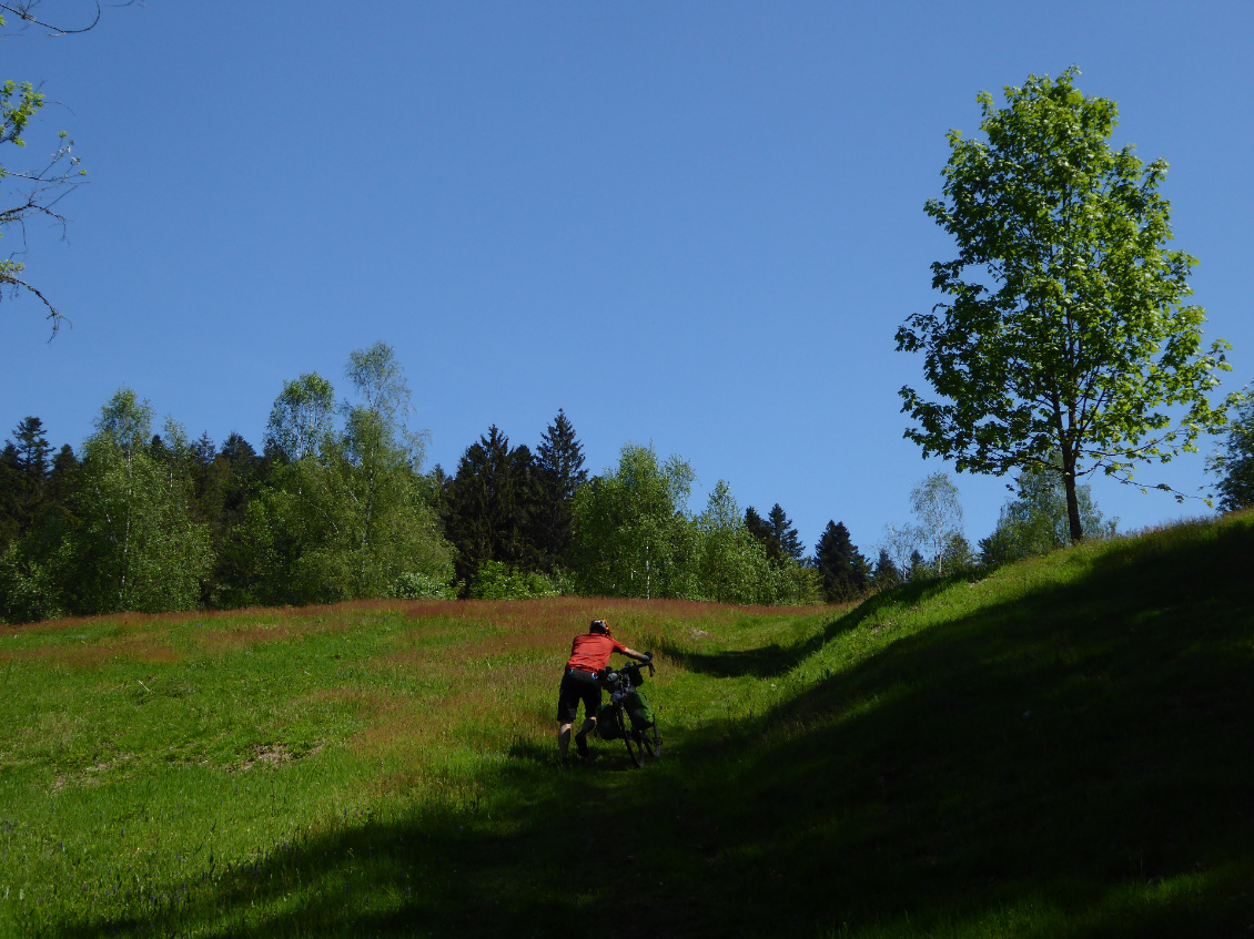 Petit cut openrunner, magnifique sentier !