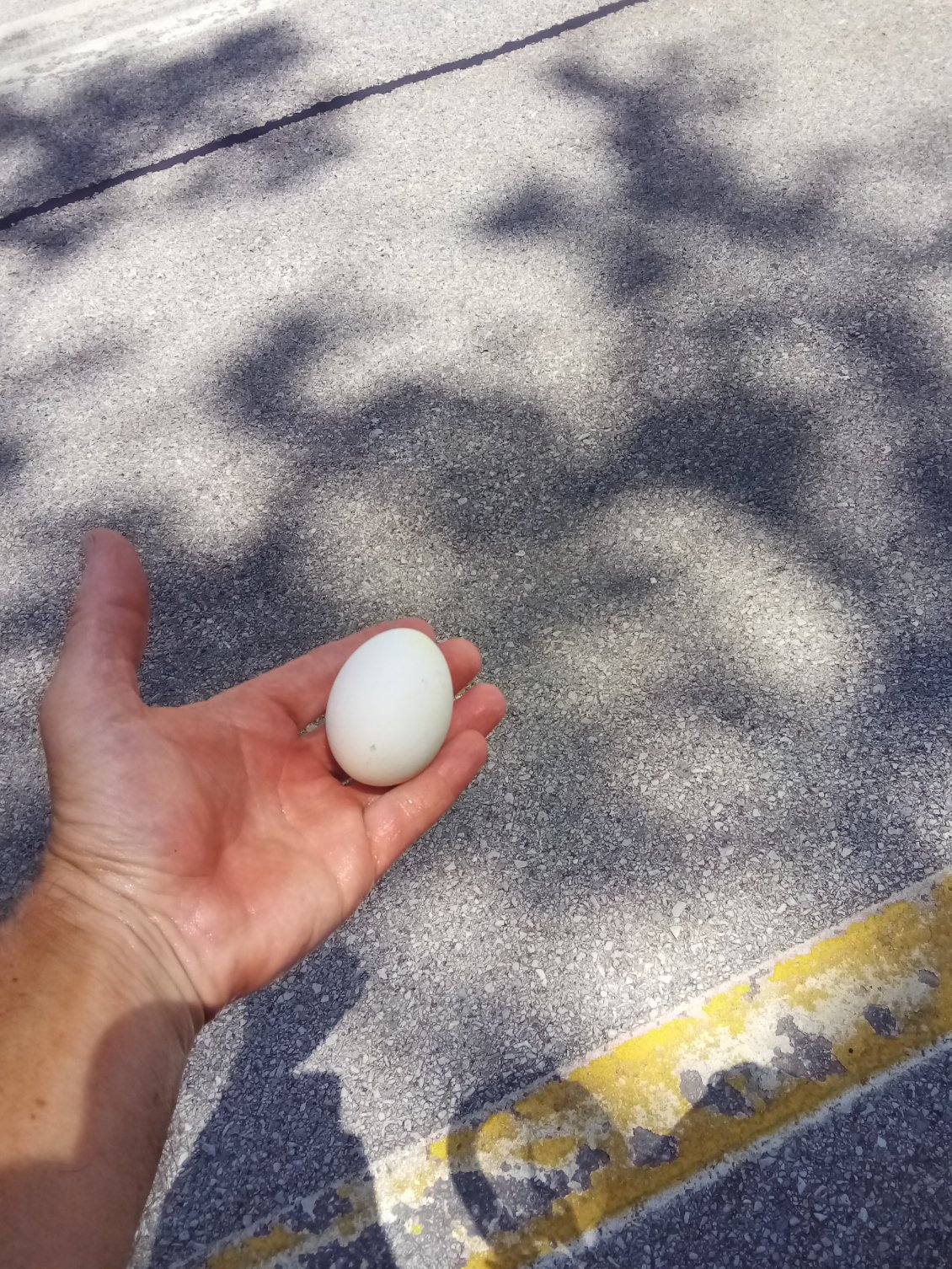 Je n'attends pas très longtemps, j'ai besoin d'un remontant dans une côte.