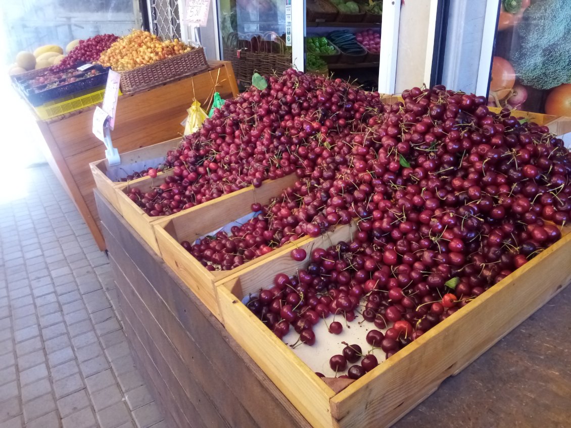 Il semblerait que, comme en Turquie, se soit la saison des cerises.