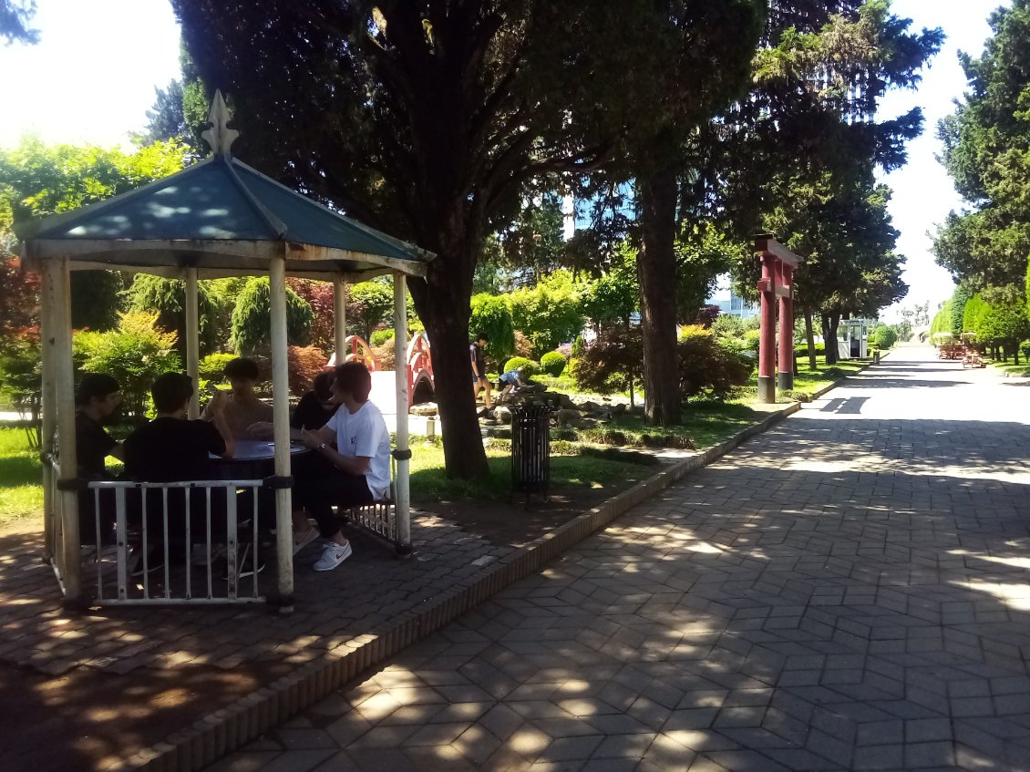 La jeunesse joue aux cartes aux abords du jardin japonais.