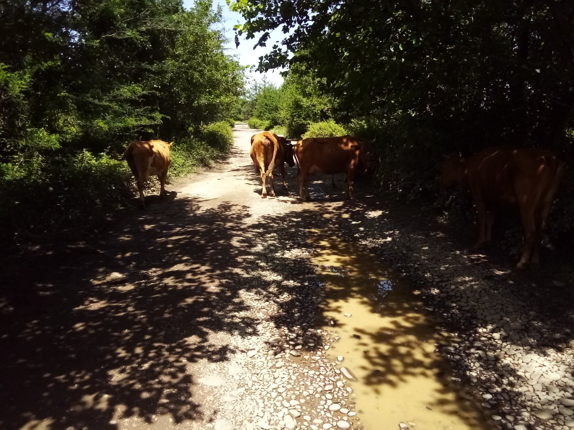 Ça bouchonne sur le sentier, il doit y avoir du monde.