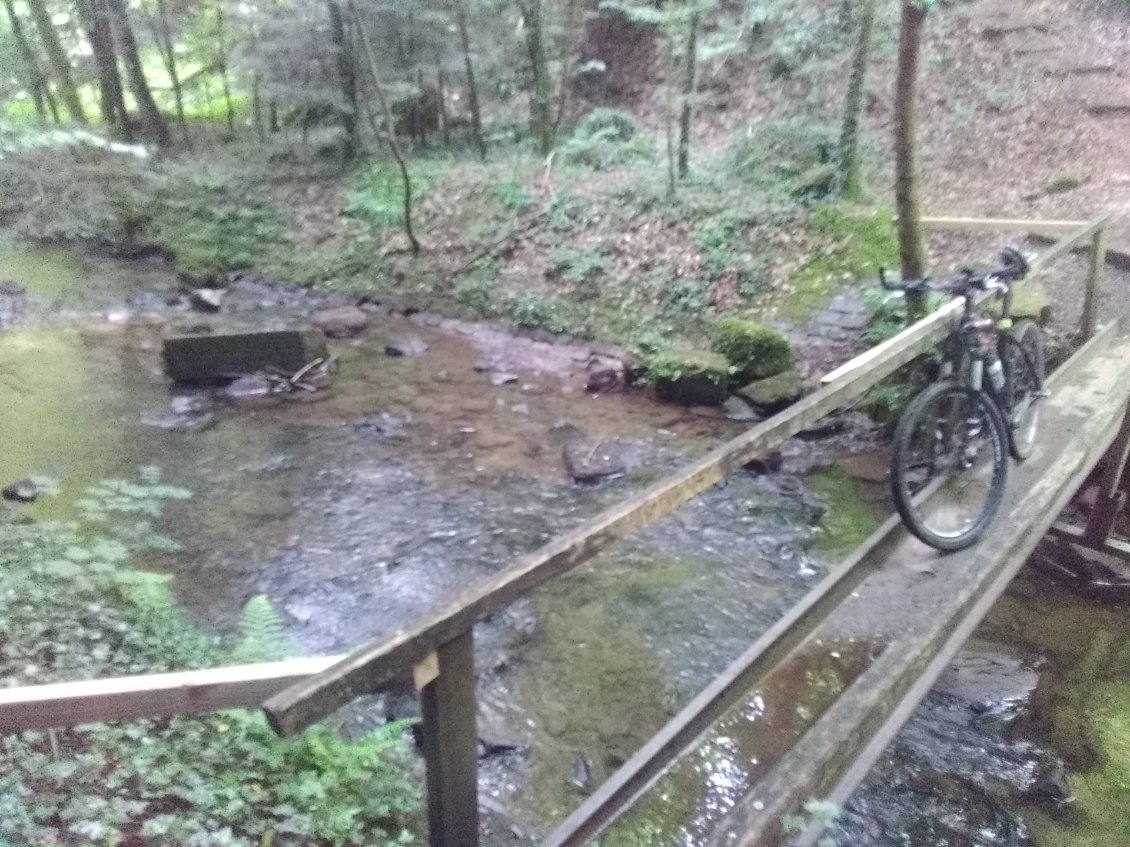 Vaut mieux descendre du vélo!