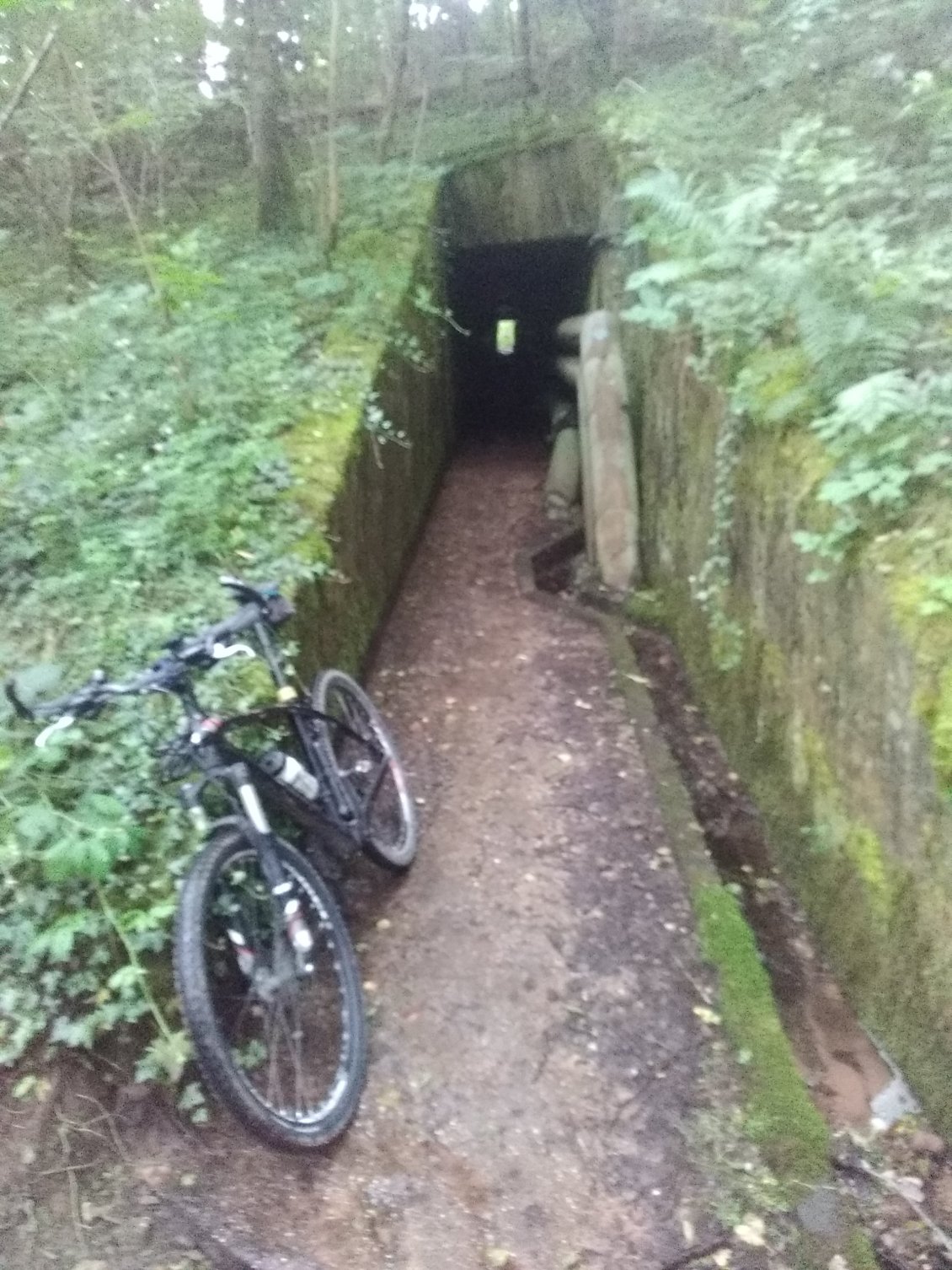 Tunnel sous le canal.