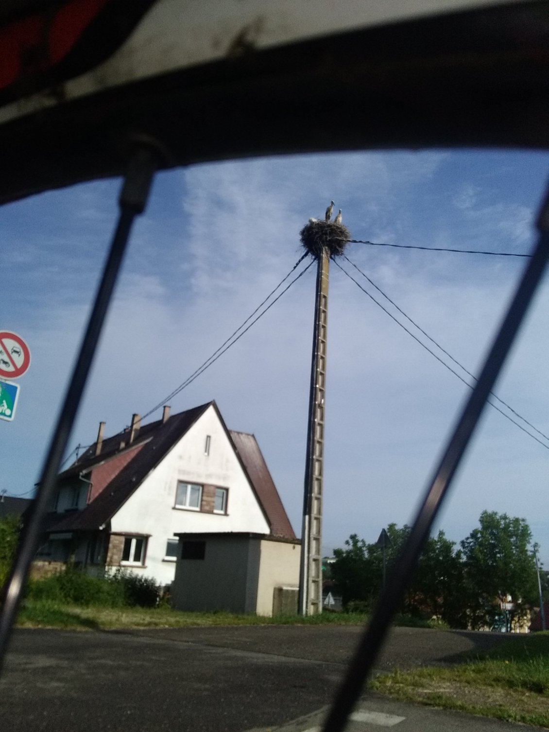 Encore des nids de cigognes en Moselle.