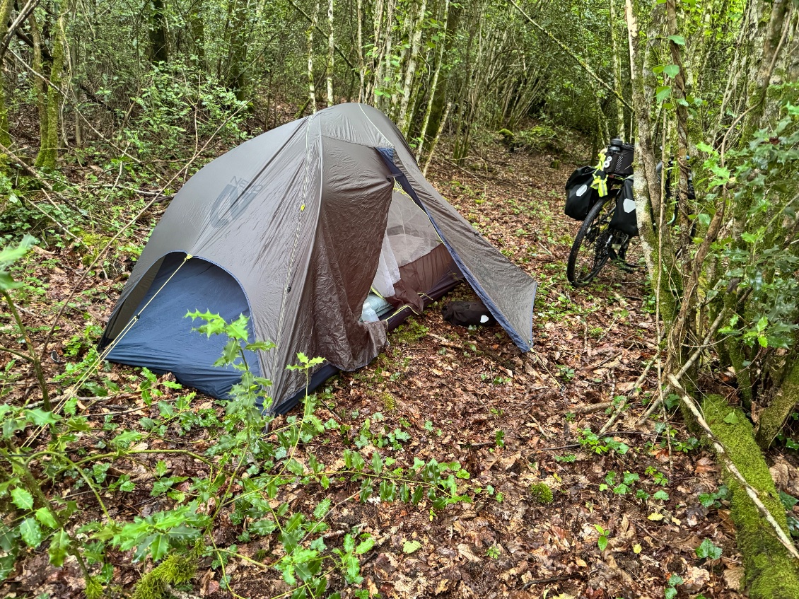 Bien à l’abri dans les bois