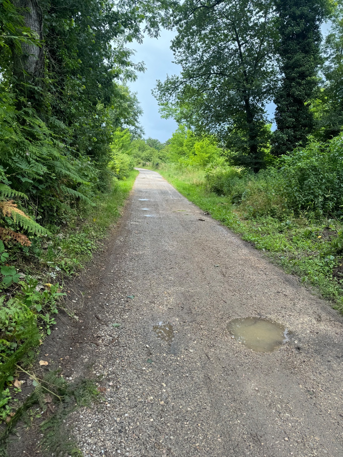 Quelques passages hors réseaux