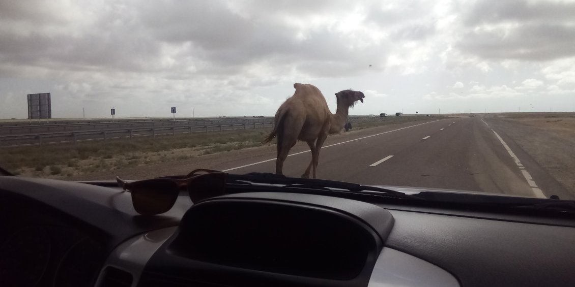 Vous aurez donc compris qu'ici sur la route...