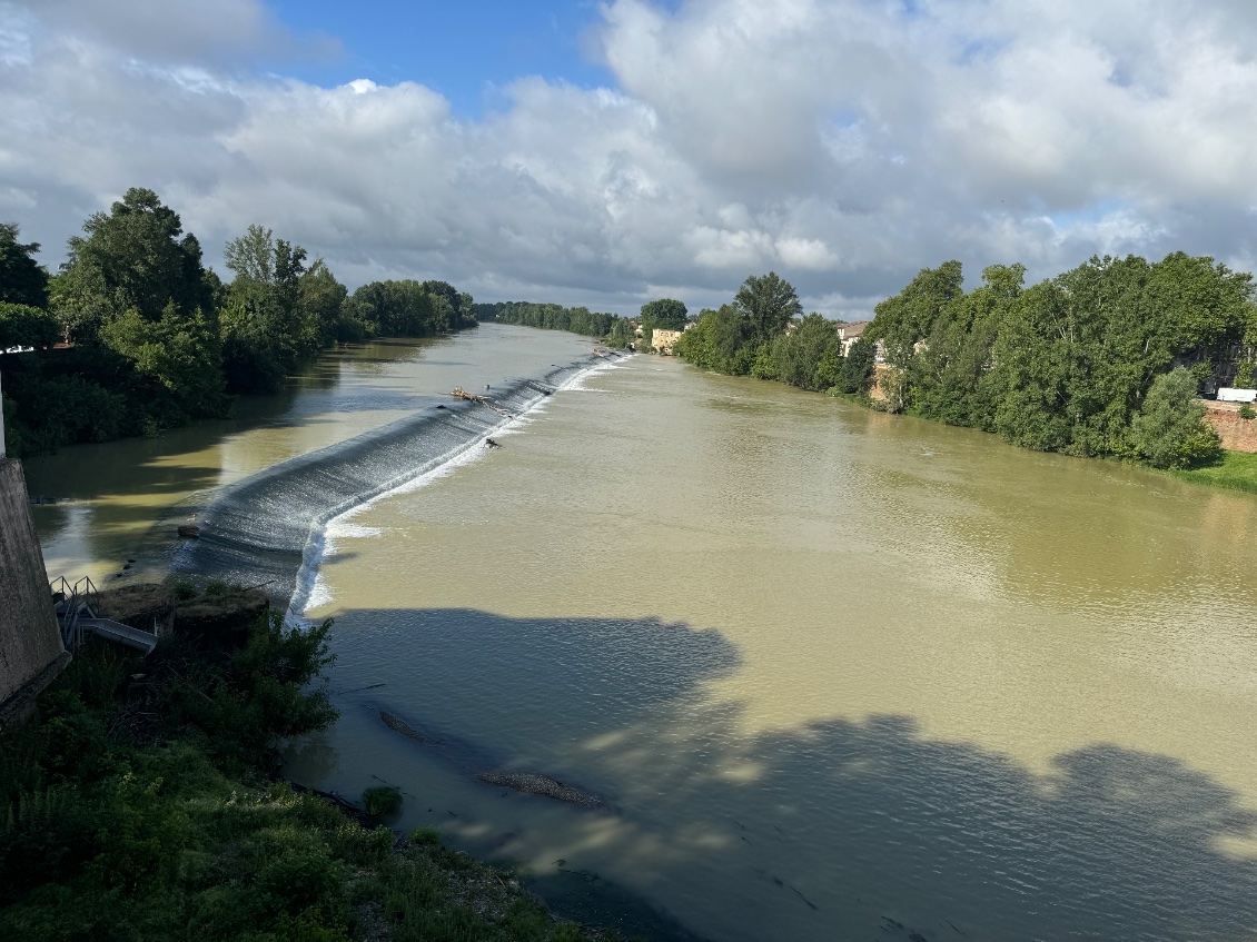 Toujours Montauban