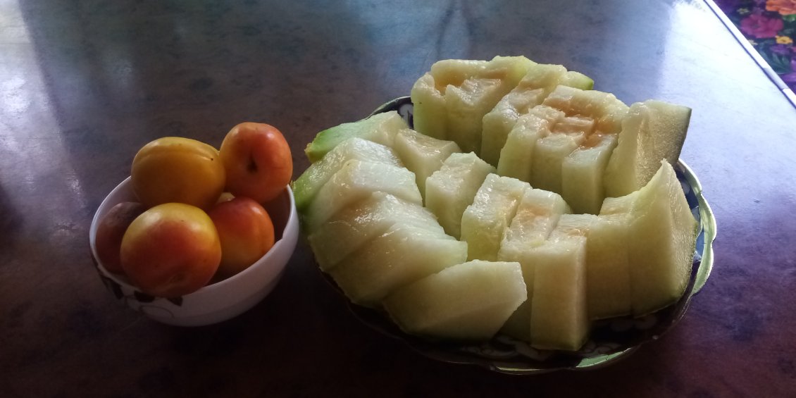 Repas de fruits du milieu d'après-midi : abricots et gros melon vert. Excellents !