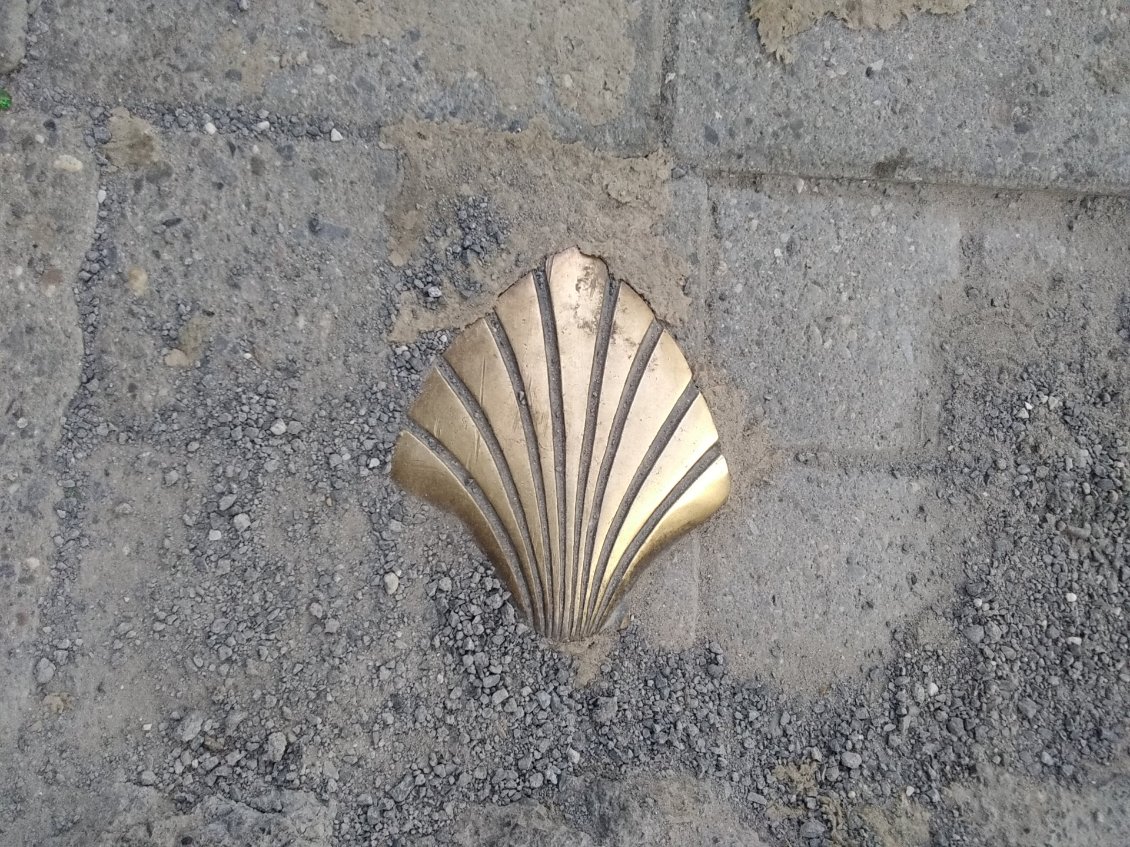 CoquiIlle de St Jacques dans les rues de Namur.