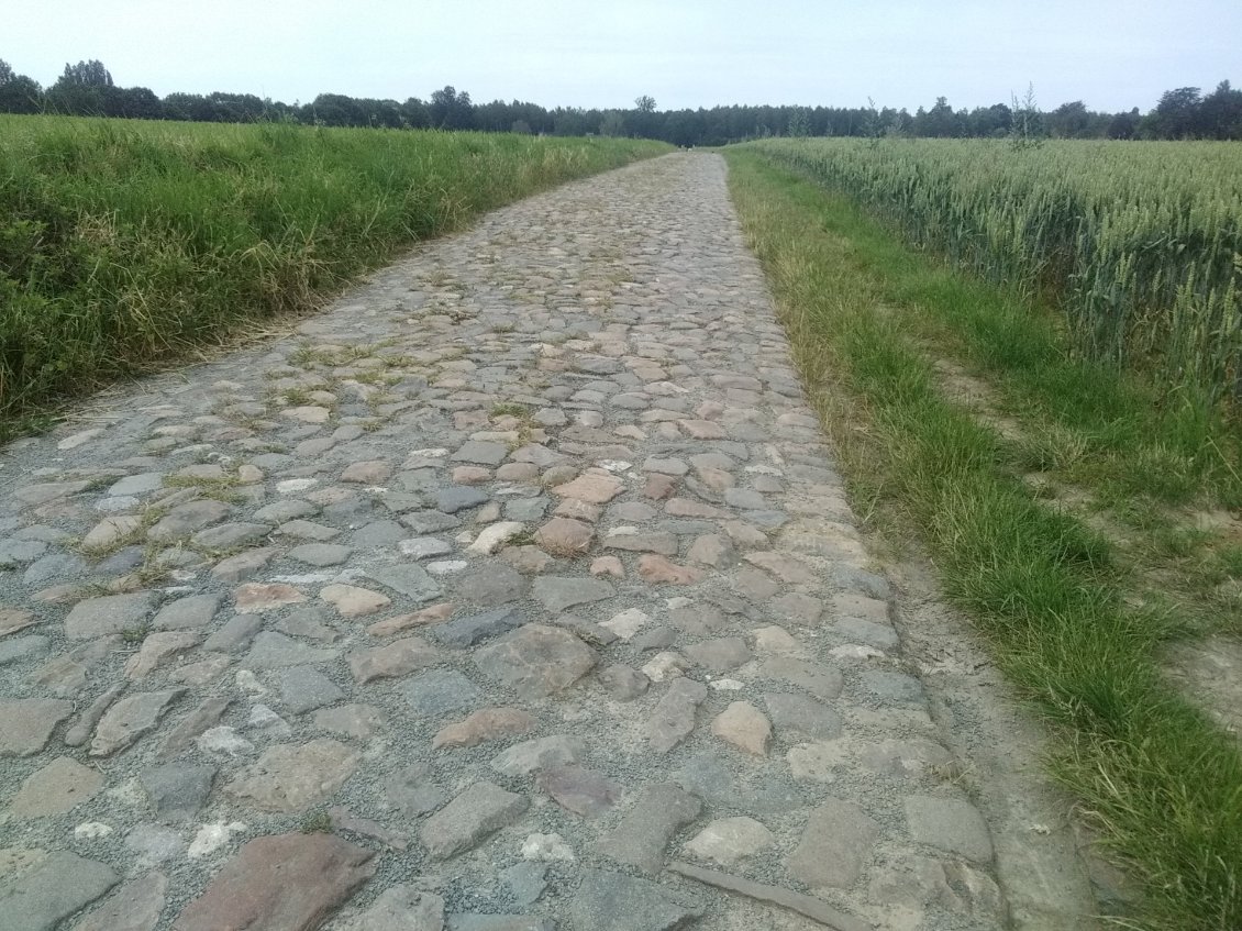 À l'approche de Bruxelles, pas de Roubaix!