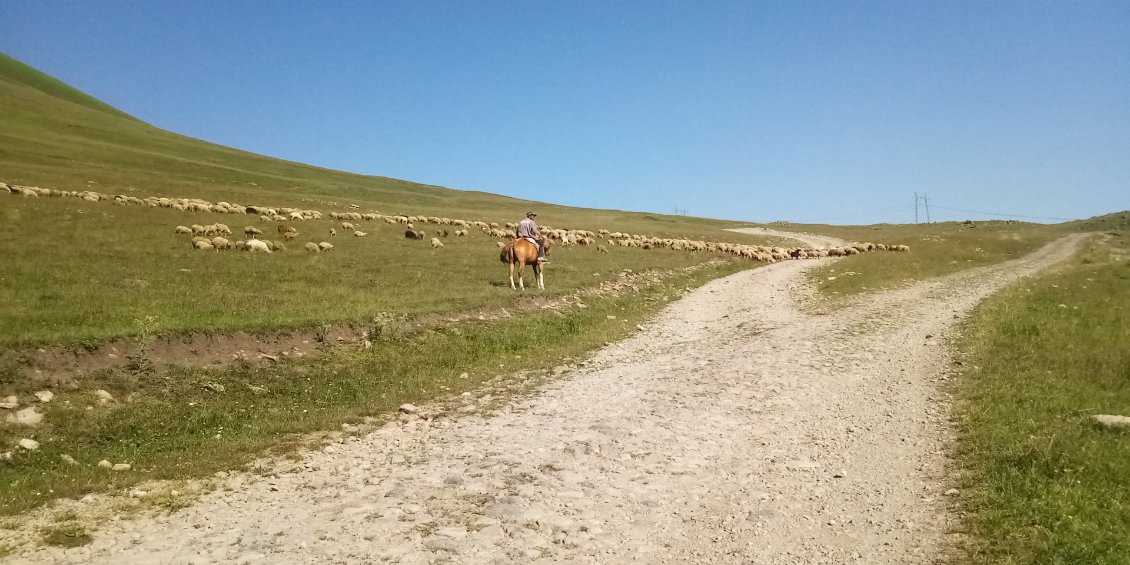 Juste après je fais un bout de chemin en compagnie d'un berger monté et de son beau troupeau.