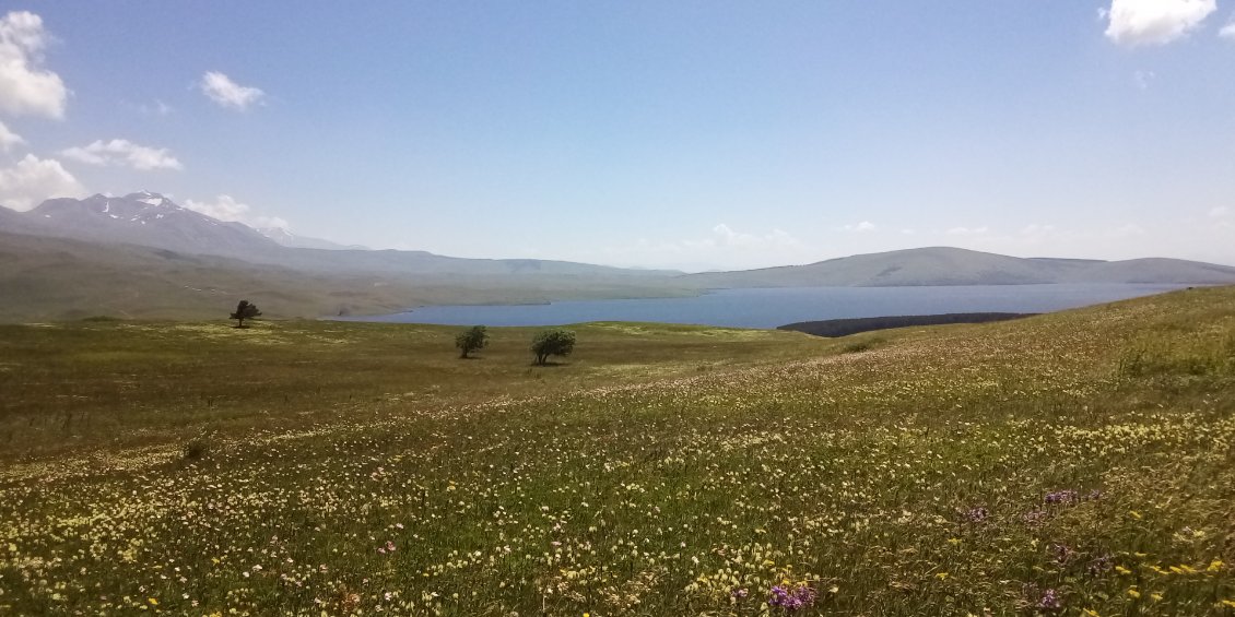 Je vais donc finalement aller au bord du lac de Tabatskuri.