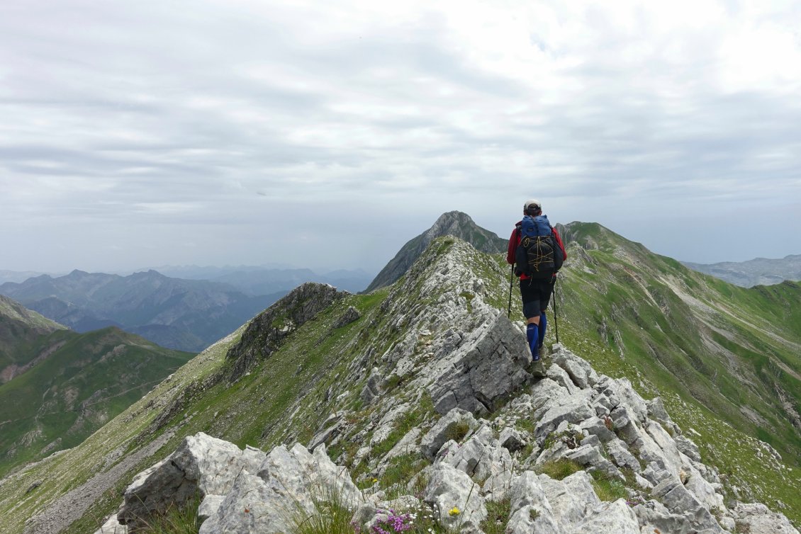 Sur la crête calcaire.