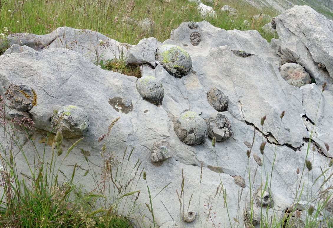 Sur cette montagne de l'Épire, les roches calcaires renferment d'étranges formations sphériques.