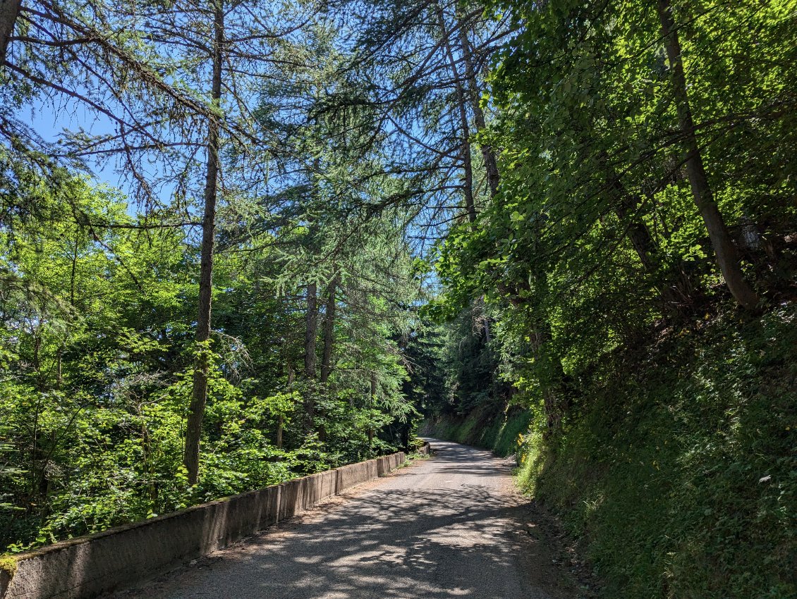 Petite route de charme, en direction d'Albanne