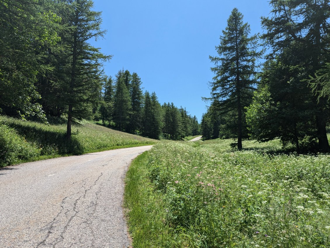 De plus en plus charmante, cette petite route