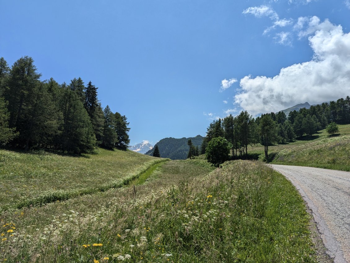 Arrivée fleurie au col d'Albanne