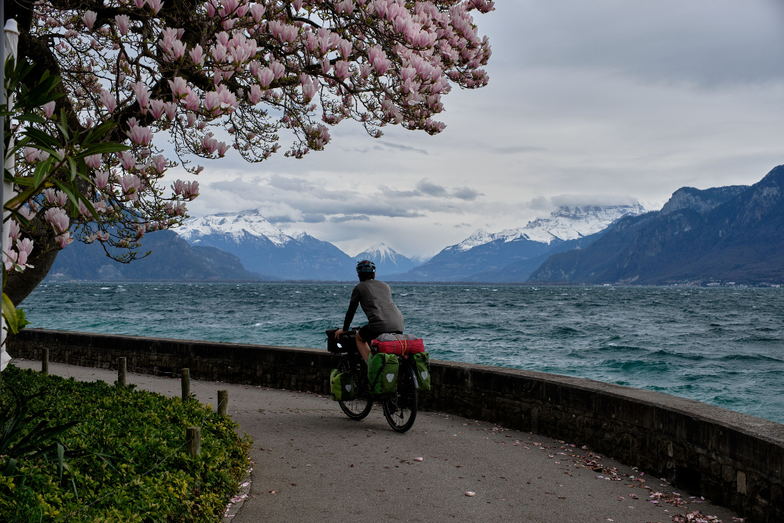 Déjà le Japon ? Mais non c'est la Suisse vaudoise !