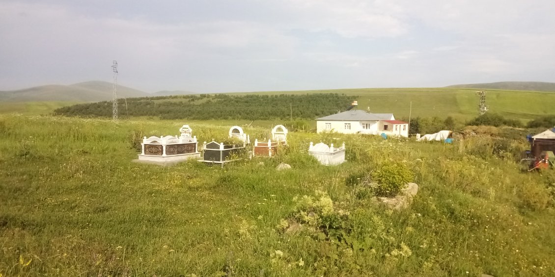 Un petit ensemble de tombes proches de quelques habitations.