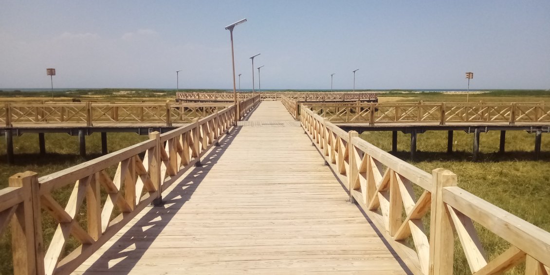 Une belle promenade en bois. J'aimerais me rapprocher du bord du lac.