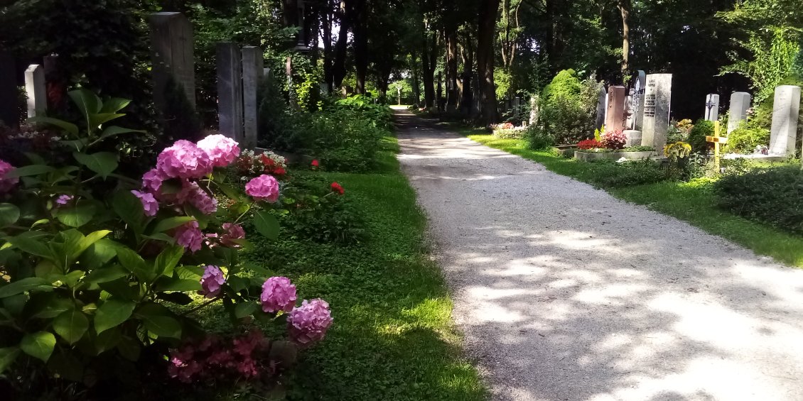 Il est très ombragé, la marche y est agréable. Il y a d'ailleurs des promeneurs, des enfants, des cyclistes qui le traversent, une dame lit sur un banc...