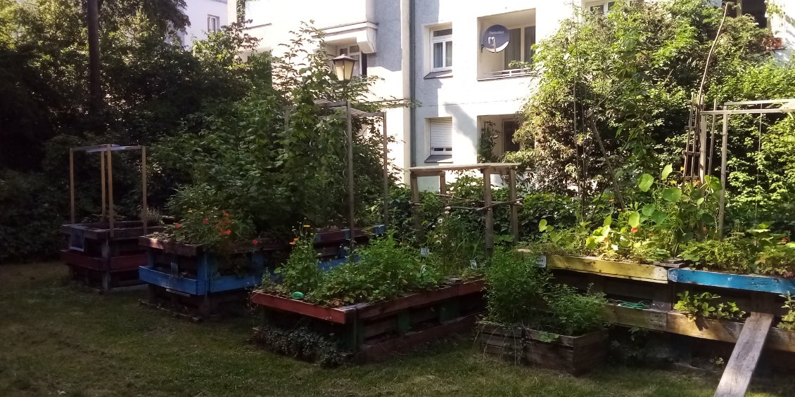 Petit potager collectif un peu plus loin.