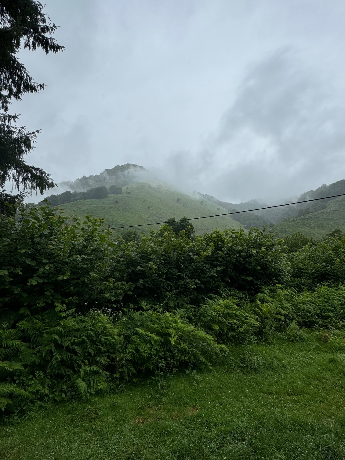 Dommage pas de belles photos pour aujourd’hui