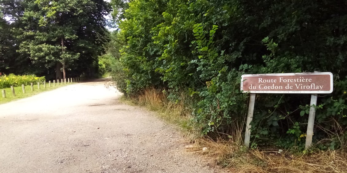 Un peu de chemin forestier mais comme Yann me l'avait dit, c'est roulant.