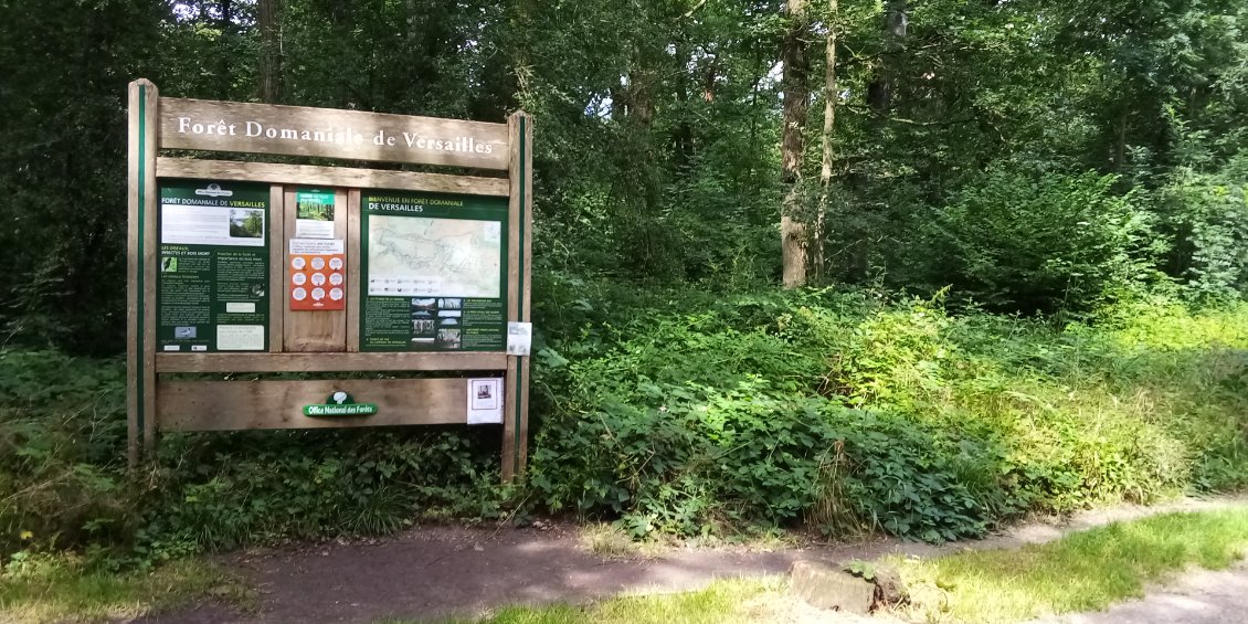 Je passe d'un domaine forestier à l'autre.