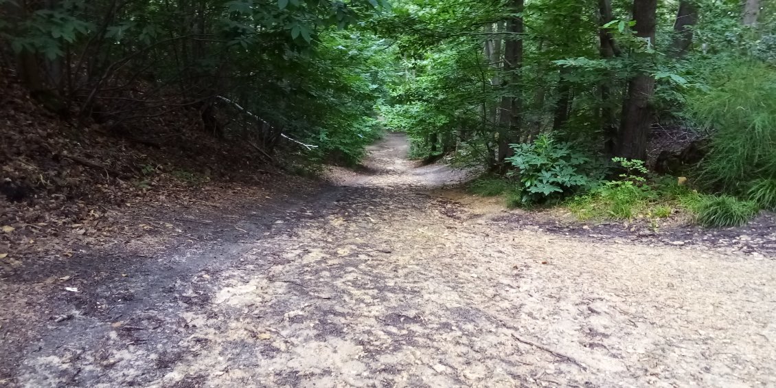 Oula ça se corse, grosse descente empierrée. Je descends du vélo et ça me rappelle de sacrés souvenirs ! Mais ici ça ne dure pas.