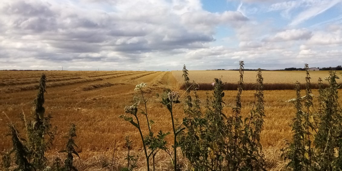 C'est ici exactement que va reprendre la journée de travail demain.