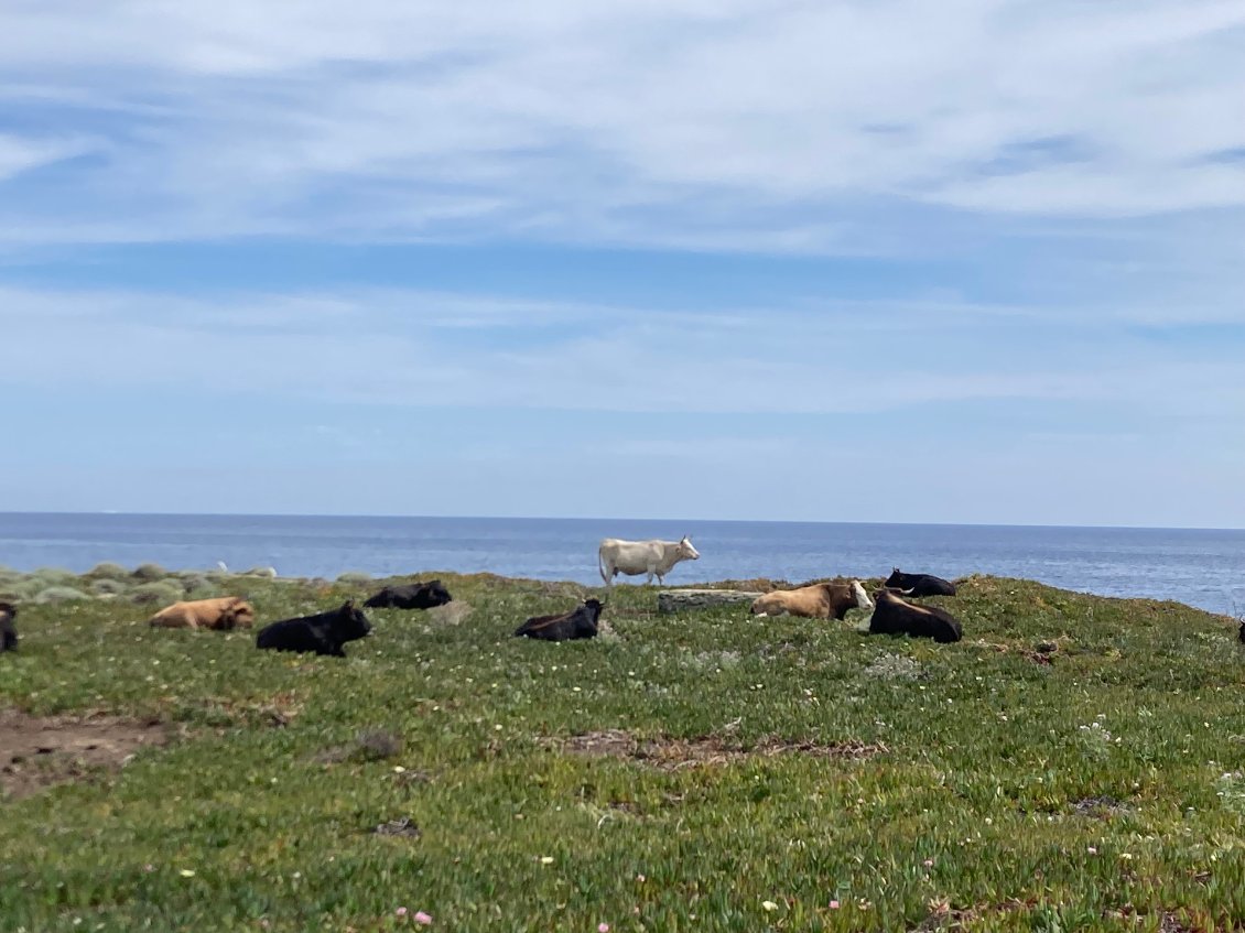 Les reines de la plage