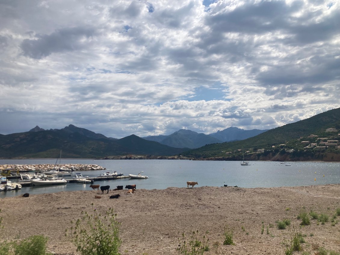 Nous ne sommes pas les seuls à profiter de la plage de bon matin